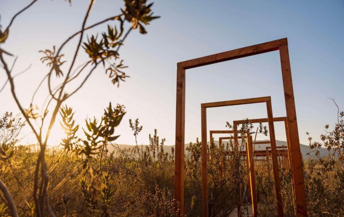 Banyan Tree Veya, Valle de Guadalupe
