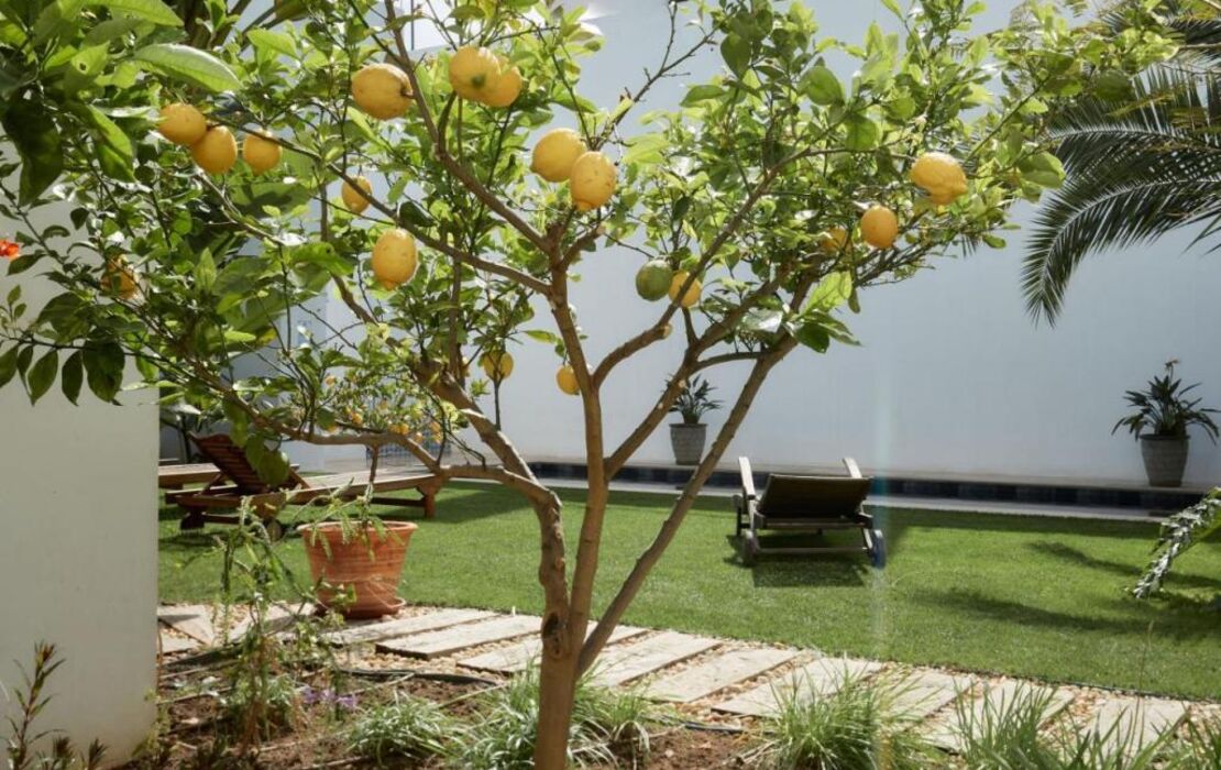 Casa Apollo Guesthouse