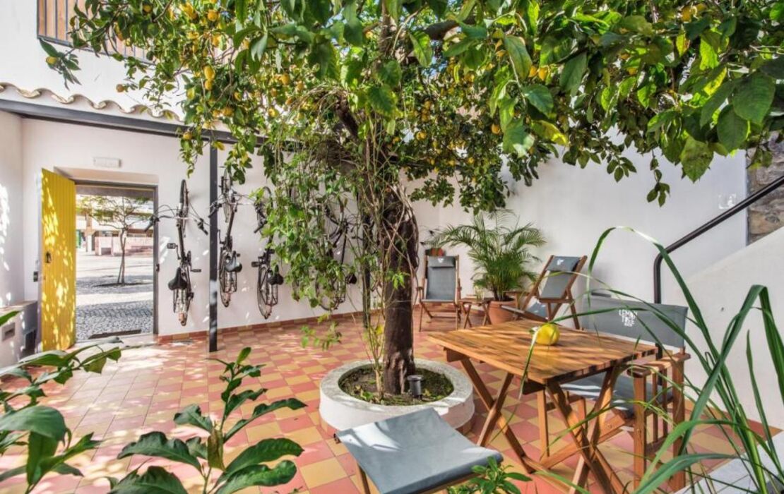 Lemon Tree Stay