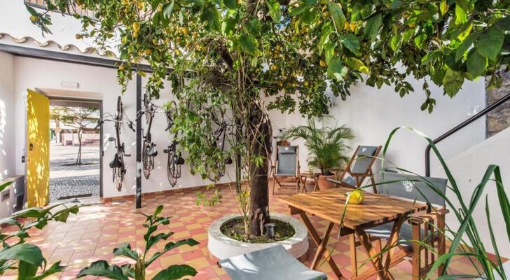 Lemon Tree Stay