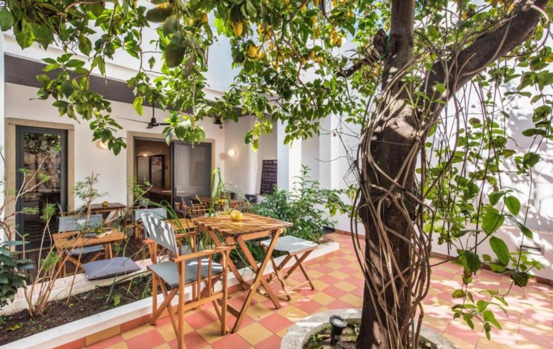 Lemon Tree Stay