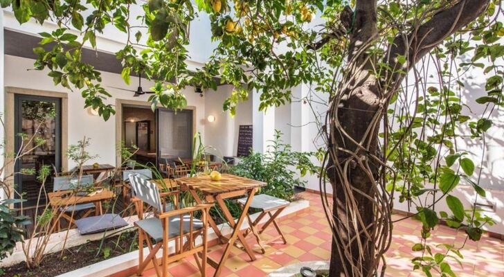 Lemon Tree Stay