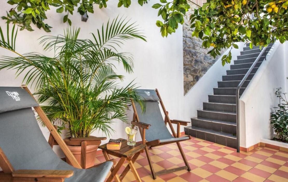 Lemon Tree Stay