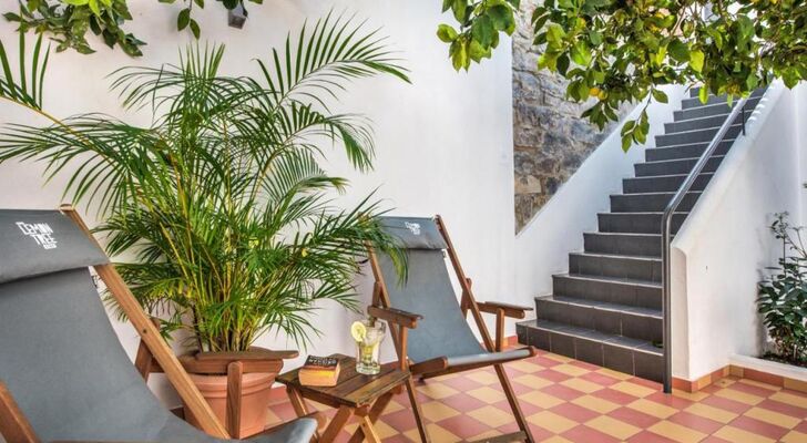 Lemon Tree Stay