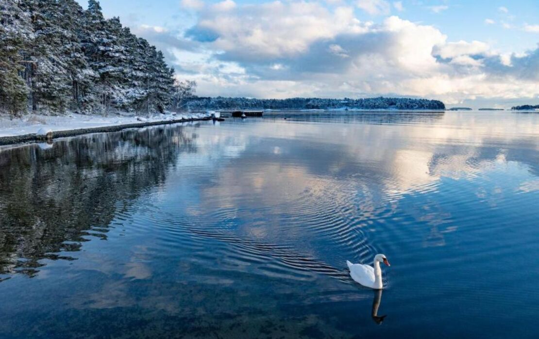 Hotel Rantapuisto