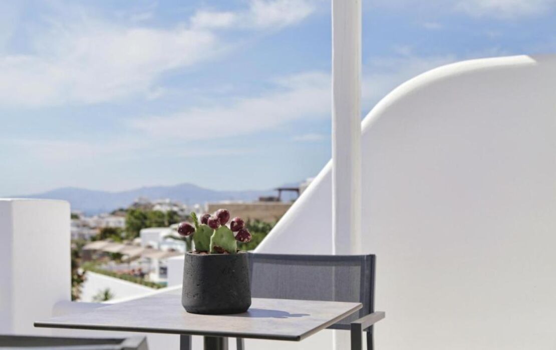 Livin Mykonos Hotel - Adults Only by Mr and Mrs White