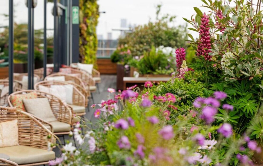 Treehouse Hotel London