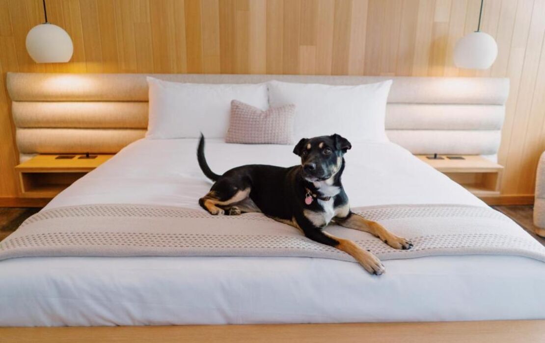 Azure Sky Hotel - Adults Only - A Town & Desert Boutique Hotel