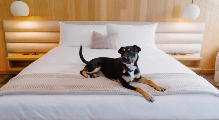 Azure Sky Hotel - Adults Only - A Town & Desert Boutique Hotel