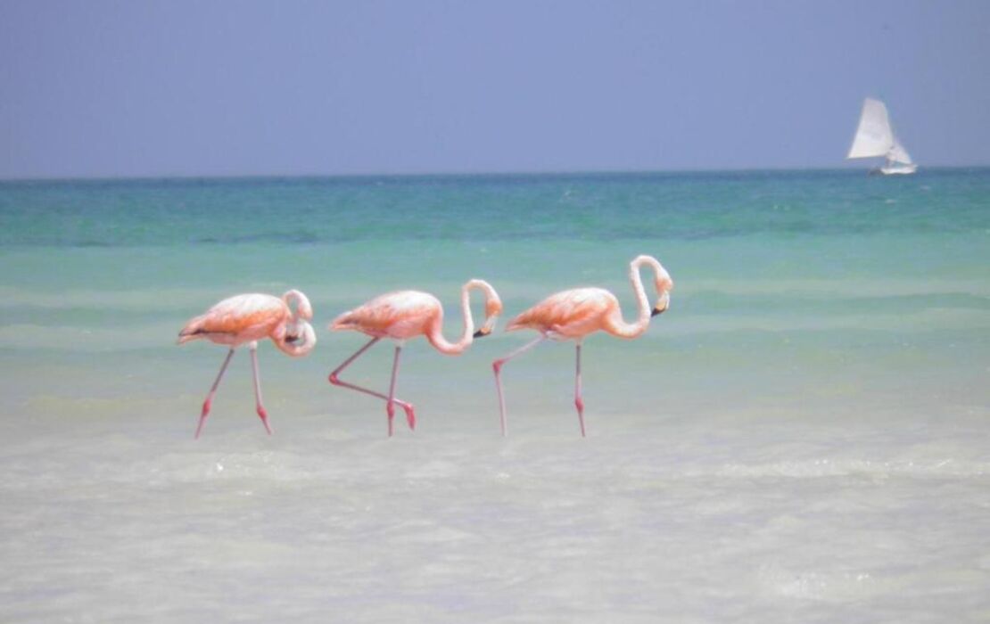 Casa Punta Coco & Beach Club