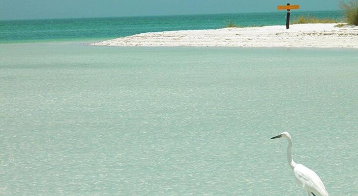 Casa Punta Coco & Beach Club