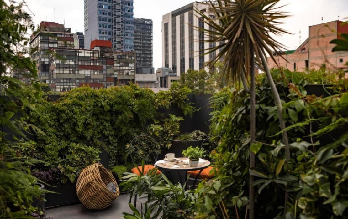 Reforma Guest House