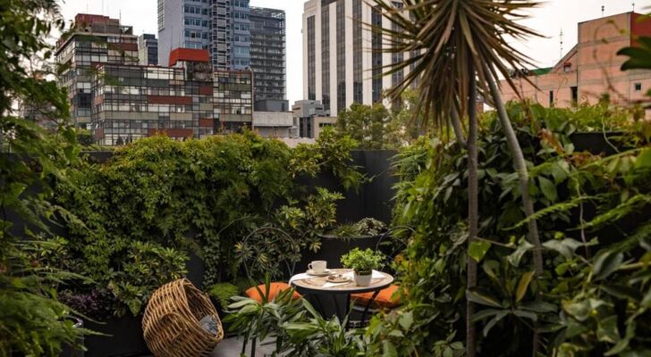 Reforma Guest House