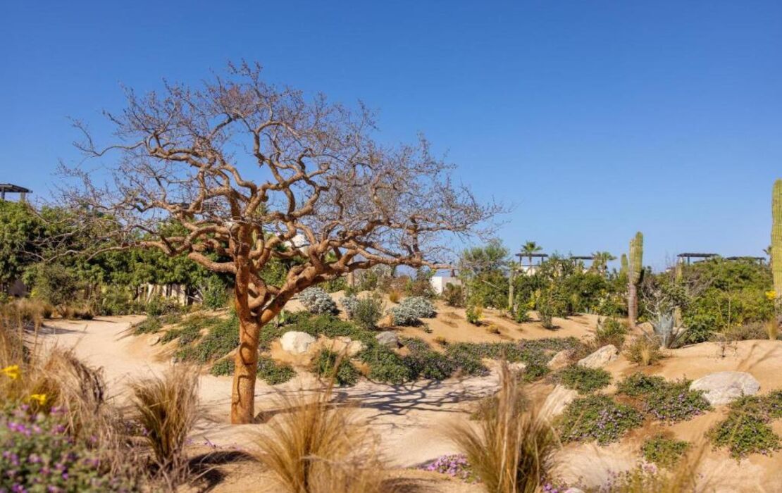 Kimpton Mas Olas Resort and Spa, an IHG Hotel