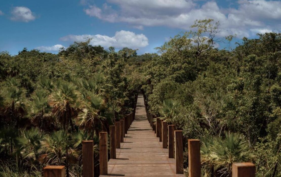 Boca de Agua Bacalar