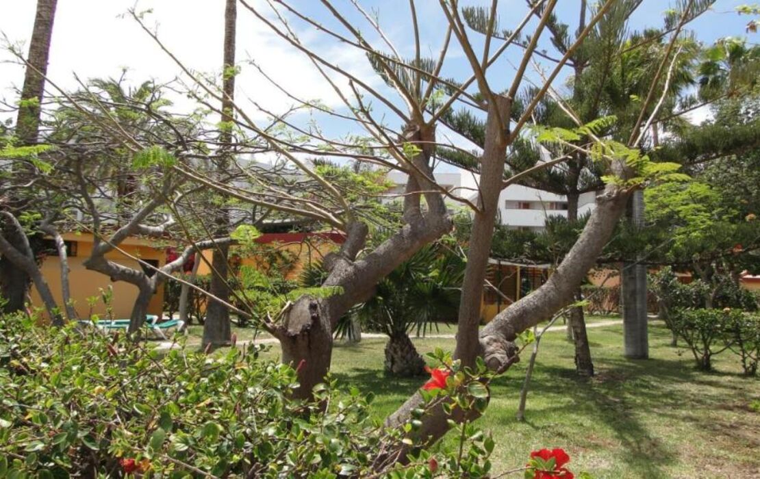 Bungalows Artemisa Gay Men Only