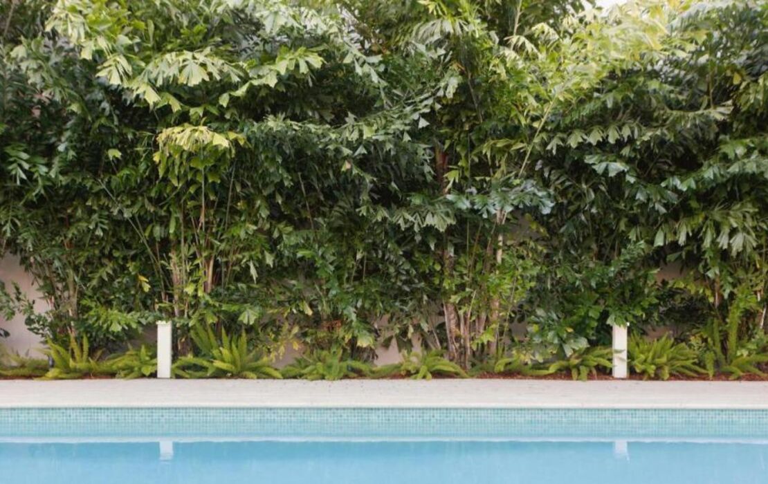 The Kimpton Shorebreak Fort Lauderdale Beach Resort