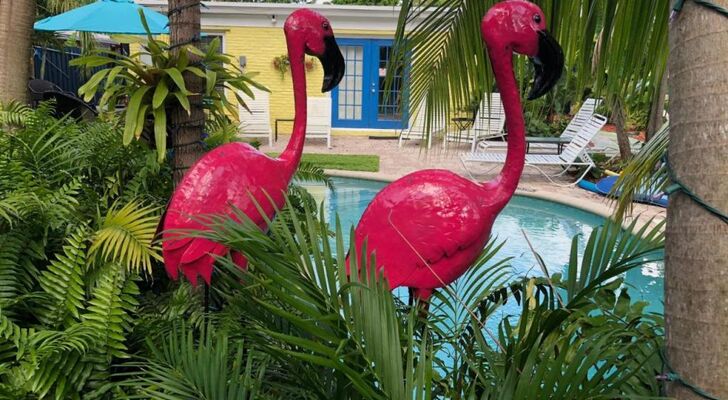 Calypso Inn Wilton Gay Male Resort