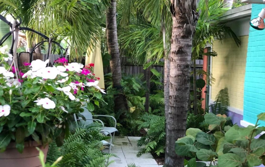 Calypso Inn Wilton Gay Male Resort