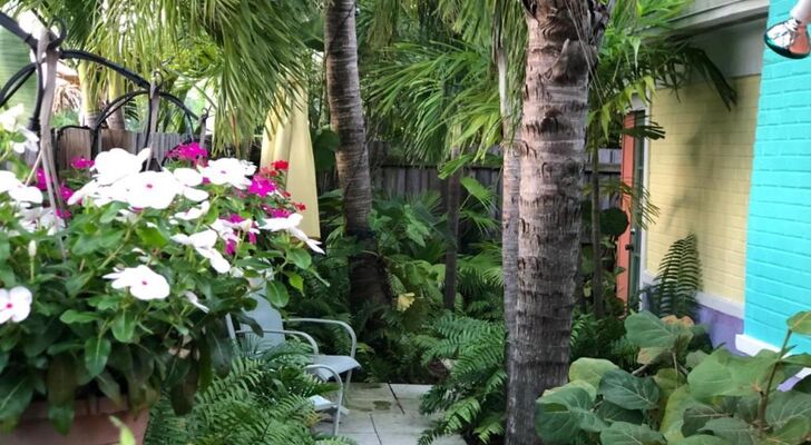 Calypso Inn Wilton Gay Male Resort