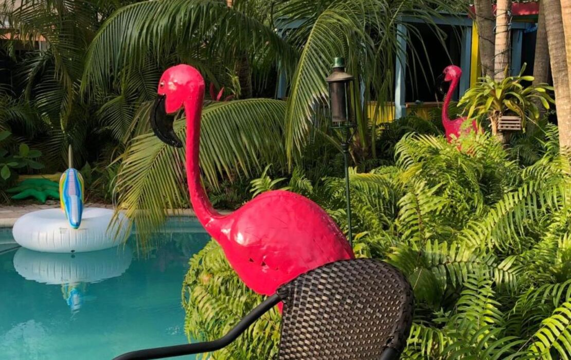 Calypso Inn Wilton Gay Male Resort