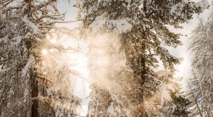 Vigilius Mountain Resort