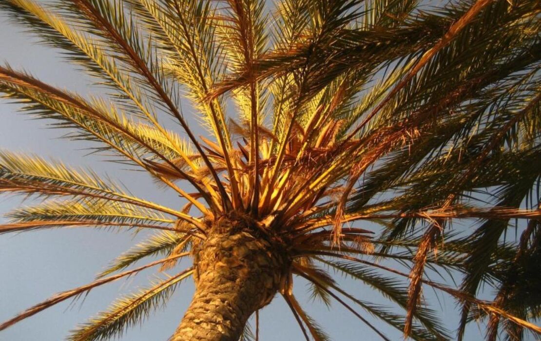 Birdcage Gay Men Resort and Lifestyle Hotel