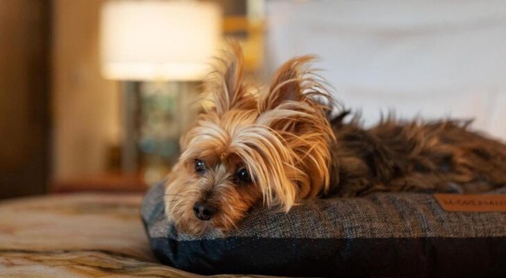 Wine & Books Lisboa Hotel