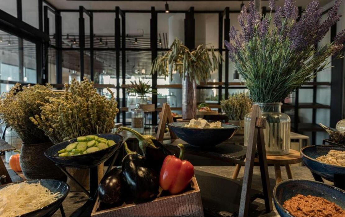 King Jason Zante – Designed for Adults