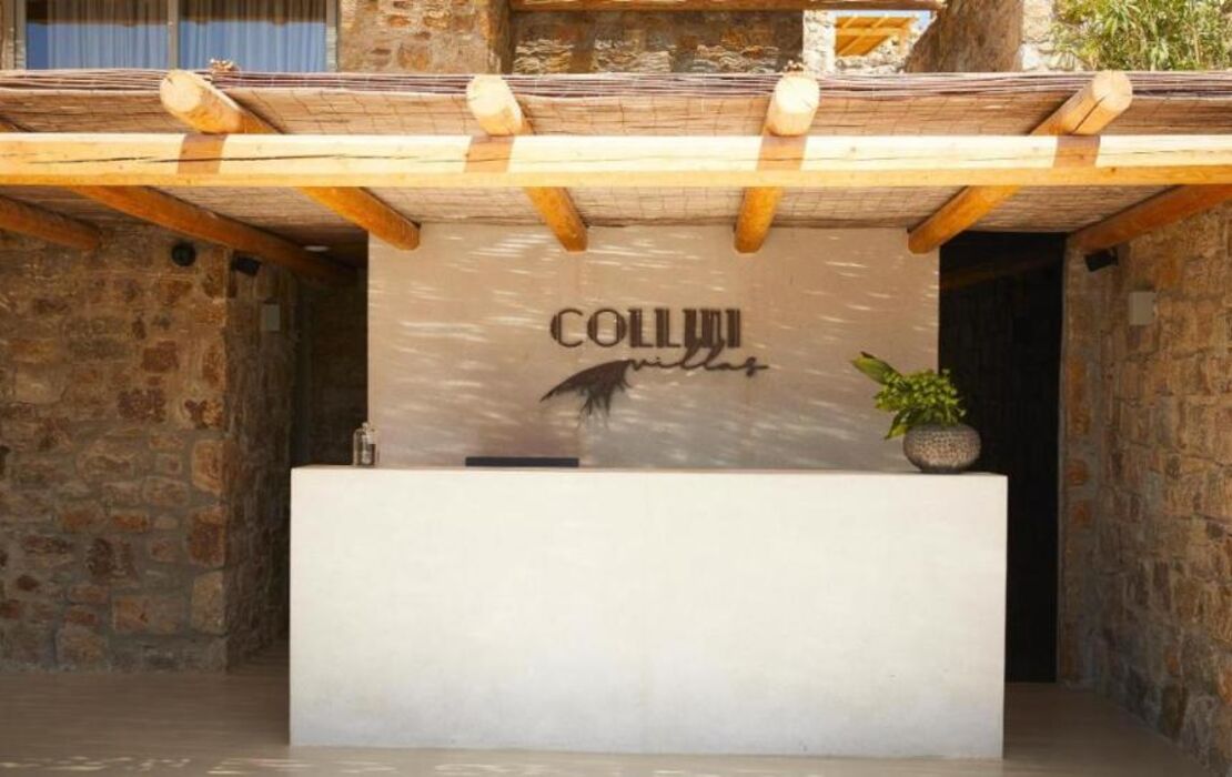 Collini Hotel Mykonos, WorldHotels Elite