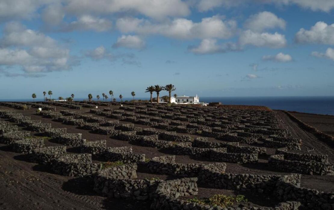 César Lanzarote Luxury Boutique Hotel - Adults Only