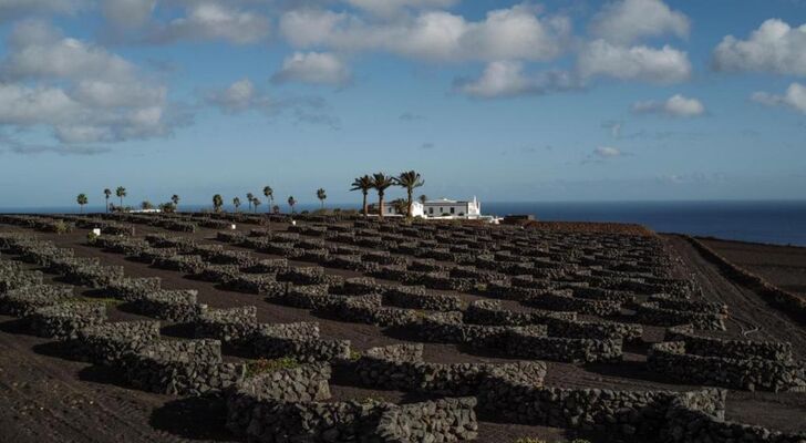 César Lanzarote Luxury Boutique Hotel - Adults Only