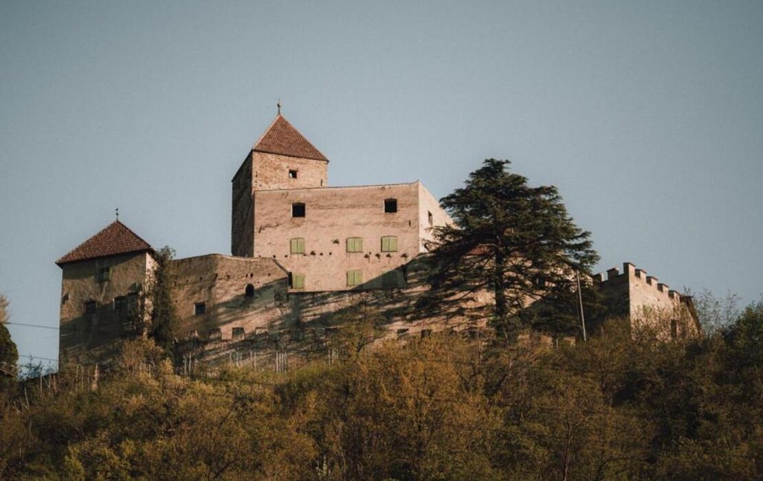 Pitzner - Winery & Suites