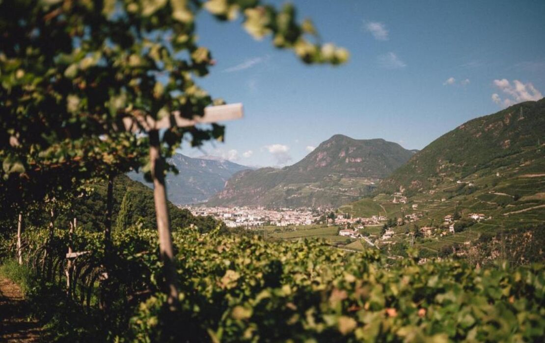 Pitzner - Winery & Suites